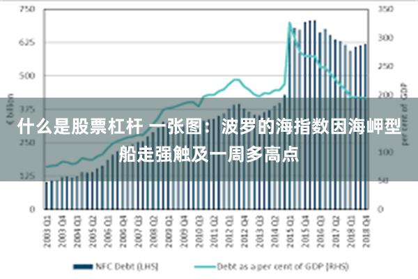 什么是股票杠杆 一张图：波罗的海指数因海岬型船走强触及一周多高点