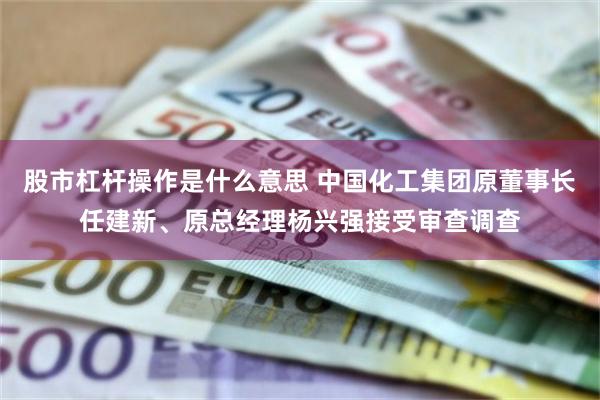 股市杠杆操作是什么意思 中国化工集团原董事长任建新、原总经理杨兴强接受审查调查