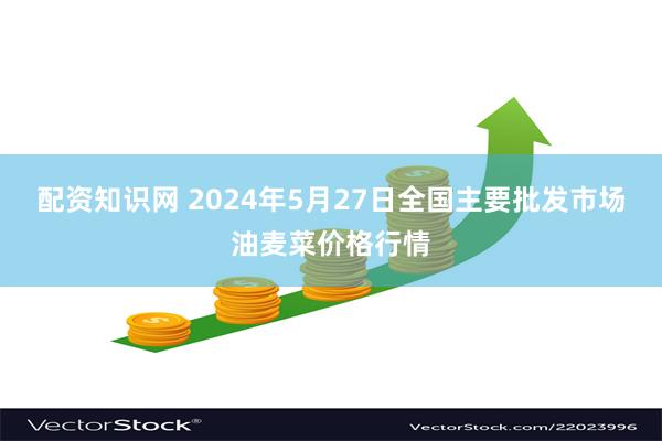 配资知识网 2024年5月27日全国主要批发市场油麦菜价格行情