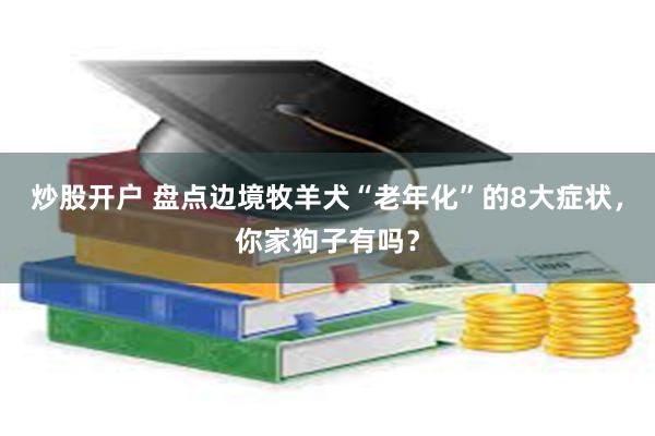 炒股开户 盘点边境牧羊犬“老年化”的8大症状，你家狗子有吗？