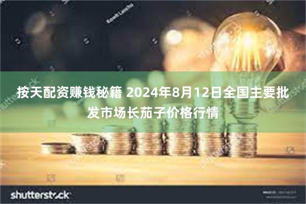 按天配资赚钱秘籍 2024年8月12日全国主要批发市场长茄子价格行情