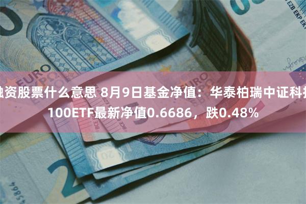 融资股票什么意思 8月9日基金净值：华泰柏瑞中证科技100ETF最新净值0.6686，跌0.48%