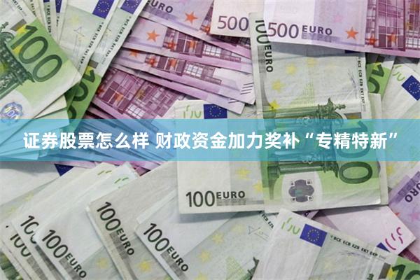 证券股票怎么样 财政资金加力奖补“专精特新”