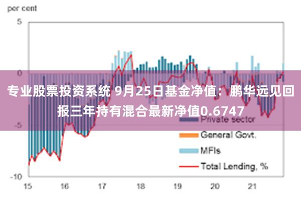 专业股票投资系统 9月25日基金净值：鹏华远见回报三年持有混合最新净值0.6747