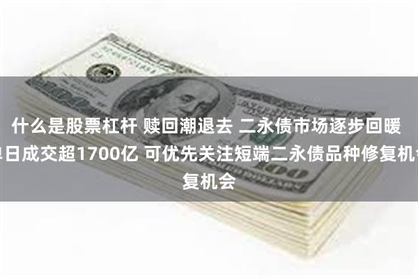 什么是股票杠杆 赎回潮退去 二永债市场逐步回暖 单日成交超1700亿 可优先关注短端二永债品种修复机会