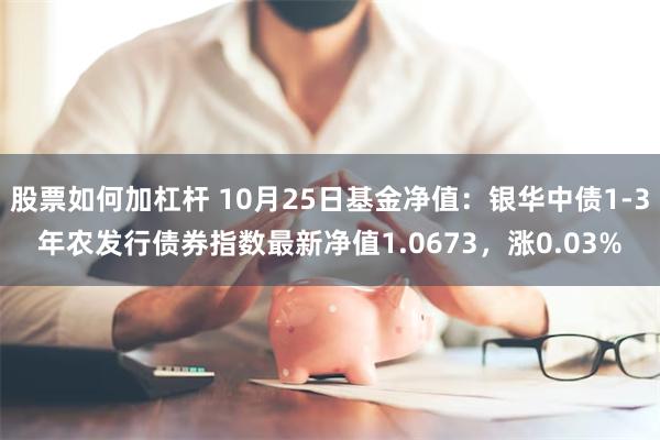 股票如何加杠杆 10月25日基金净值：银华中债1-3年农发行债券指数最新净值1.0673，涨0.03%