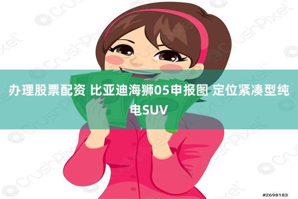 办理股票配资 比亚迪海狮05申报图 定位紧凑型纯电SUV