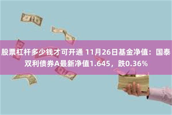 股票杠杆多少钱才可开通 11月26日基金净值：国泰双利债券A最新净值1.645，跌0.36%