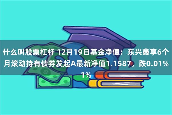 什么叫股票杠杆 12月19日基金净值：东兴鑫享6个月滚动持有债券发起A最新净值1.1587，跌0.01%