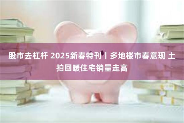 股市去杠杆 2025新春特刊丨多地楼市春意现 土拍回暖住宅销量走高