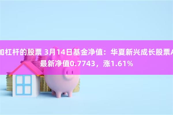 加杠杆的股票 3月14日基金净值：华夏新兴成长股票A最新净值0.7743，涨1.61%